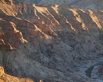 cold water fish in basaltic river