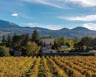 etna north vineyards high altitude basaltic soils