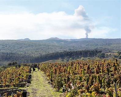 Taormina Castelmola and Etna wine experience combining historic sites panoramic views and vineyards