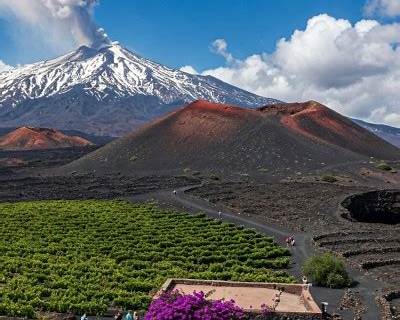 etna vineyard lava layer study