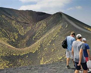 etna wine tour decision criteria vineyard