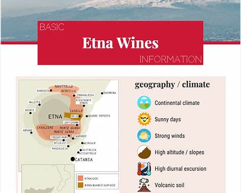 etna wine tour planning checklist
