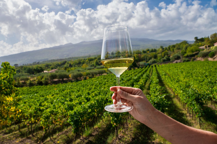 Wine glass on volcanic soil illustrating Etna DOC wine styles shaped by altitude and exposure