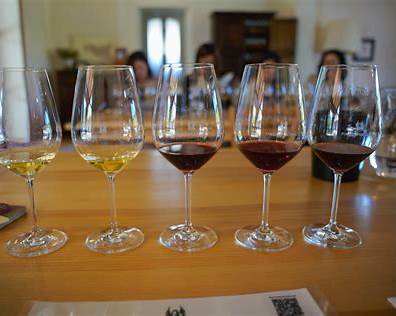 Cruise excursion pricing differences between standard and premium options with optional upgrades