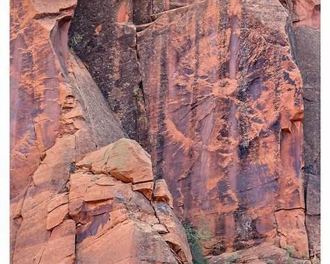 humid basalt walls vegetation