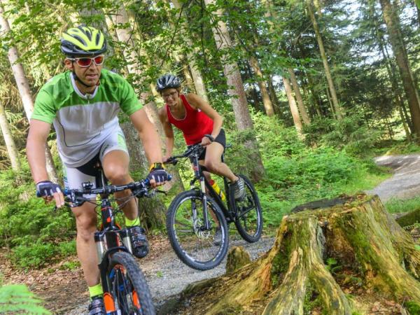 Giro in bici sull'etna